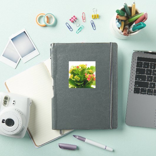 Kalanchoe blossfeldiana sticker (iPad Cover)
