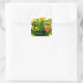 Kalanchoe blossfeldiana vierkante sticker (Tas)