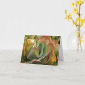 Kalanchoë-briefkaart Kaart (Gele Bloem)