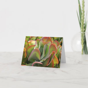 Kalanchoë-briefkaart Kaart