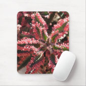 Kalanchoe "Butterfly Wings" mousepad Muismat (Met muis)