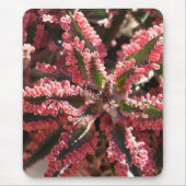 Kalanchoe "Butterfly Wings" mousepad Muismat (Voorkant)