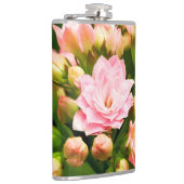 Kalanchoe calandiva heupfles (Rechts)