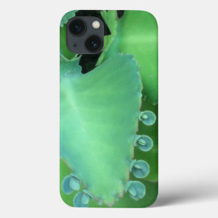 Kalanchoe Case-Mate iPhone Case