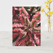 Kalanchoe de "Vleugels van de Vlinder" notecard Kaart (Gele Bloem)