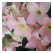 Kalanchoe Flowers Tegeltje (Voorkant)