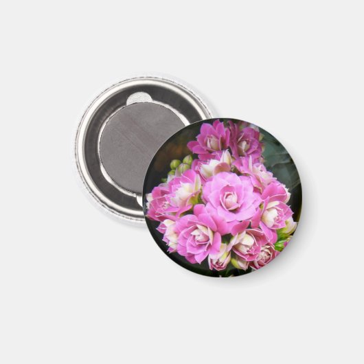 "Kalanchoé" Magneet (Voorkant / Achterkant)