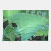 Kalanchoe Theedoek (Horizontaal)