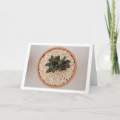 Kalanchoe Tomentosa Succulent Plant, Panda Plant Kaart (Voorkant)