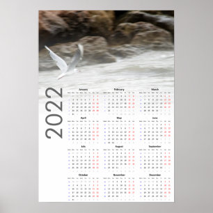 Kalandender meeuw 2022 Poster - Maandag eerst
