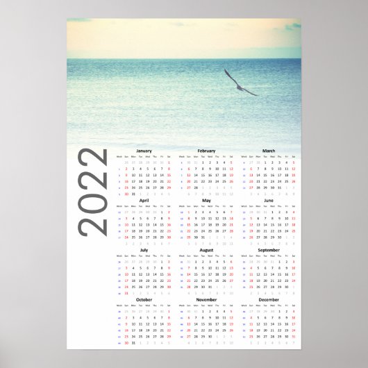Kalandermuurkalender meeuw 2022 Poster - Zondag ee (Voorkant)