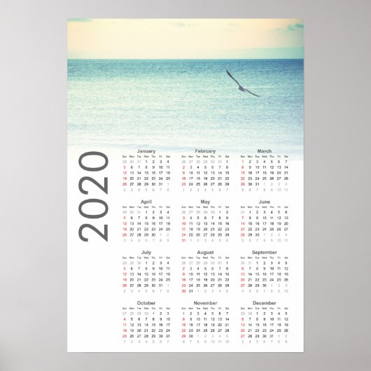 Kalandermuurkalender meeuwen 2020 Poster (Voorkant)