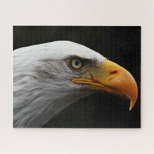 Kale adelaar 16x20 520pc jpcna legpuzzel (Horizontaal)