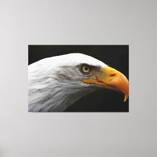 Kale adelaar 60x40 (150x100cm) waccnm canvas afdruk