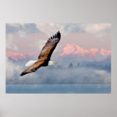 Kale adelaar boven besneeuwde bergen poster (Voorkant)