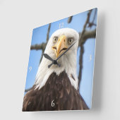 Kale adelaar gezicht grappige beeldende kunst foto vierkante klok (Hoek)
