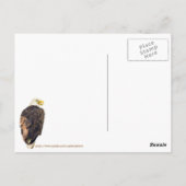 Kale adelaar in dennenboom briefkaart (Achterkant)