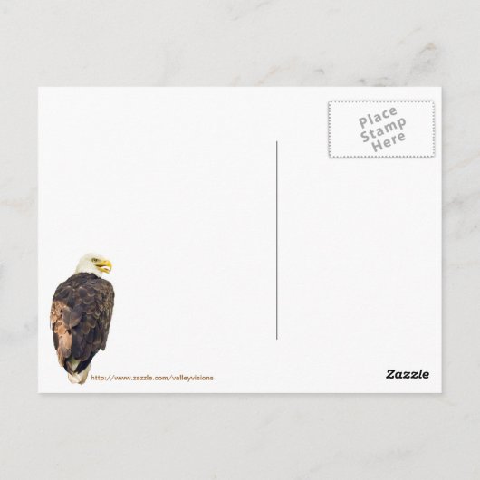 Kale adelaar in dennenboom briefkaart (Achterkant)