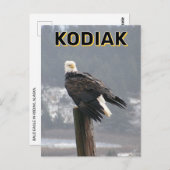 Kale adelaar in Kodiak, Alaska Briefkaart (Voorkant / Achterkant)