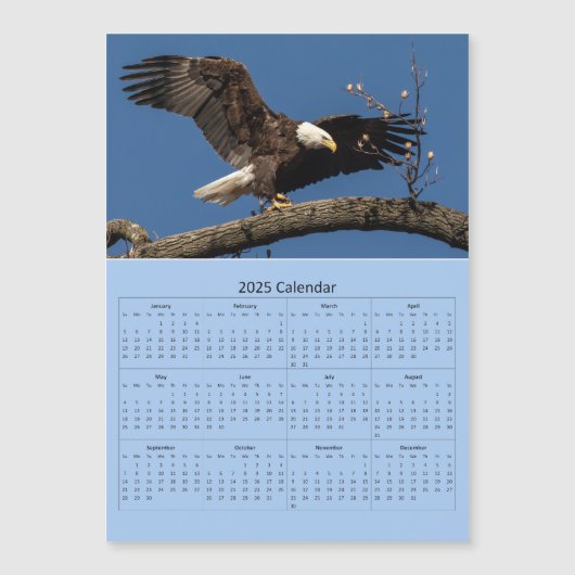 Kale adelaar Landing Calendar (Voorkant)