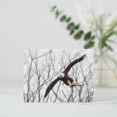 Kale adelaar maaltijdbezorging briefkaart (Staand voorkant)