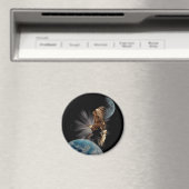 Kale adelaar magneten (Insitu (Vaatwasser))