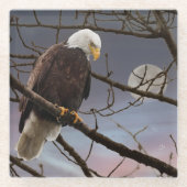 Kale adelaar onder volle maan wildlife glazen onderzetter (Voorkant)