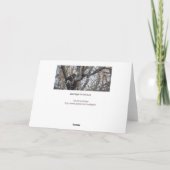 Kale adelaar op de jacht kaart (Achterkant)