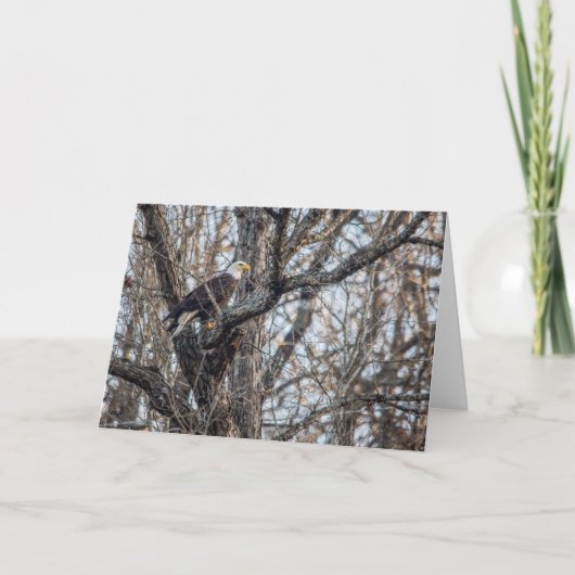 Kale adelaar op de jacht kaart (Voorkant)