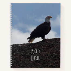 Kale adelaar op hoge grond spiraal Notitieboek
