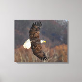 Kale adelaar over herfstbomen canvas afdruk (Voorkant)