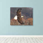 Kale adelaar over herfstbomen canvas afdruk (Insitu (Houten vloer))