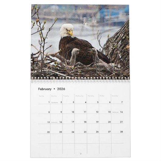 Kale Adelaar Posterized 2026 Kalender (Feb 2026)