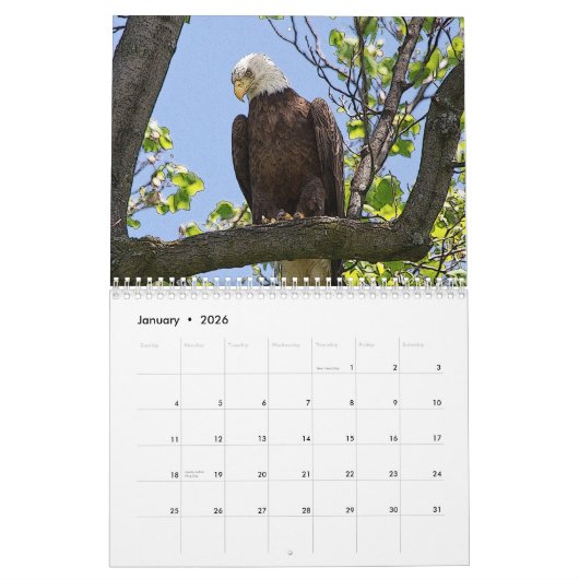 Kale Adelaar Posterized 2026 Kalender (Jan 2026)