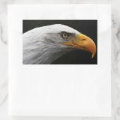 Kale adelaar stcna rechthoekige sticker (Tas)