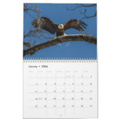 Kale adelaars het hele jaar kalender (Jan 2026)