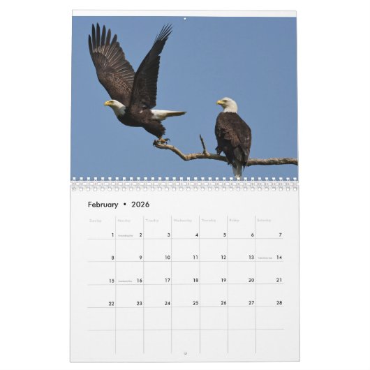 Kale adelaars $ kalender (Feb 2026)