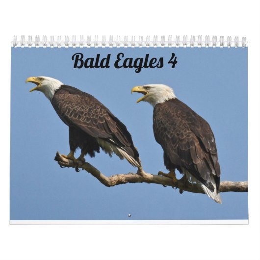 Kale adelaars $ kalender (Hoes)