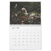 Kale adelaars $ kalender (Mar 2027)