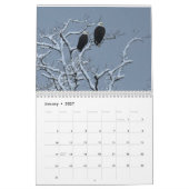 Kale adelaars $ kalender (Jan 2027)