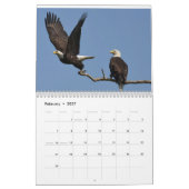 Kale adelaars $ kalender (Feb 2027)