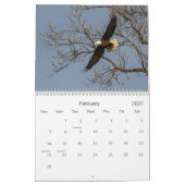 Kale adelaars kalender (Feb 2027)