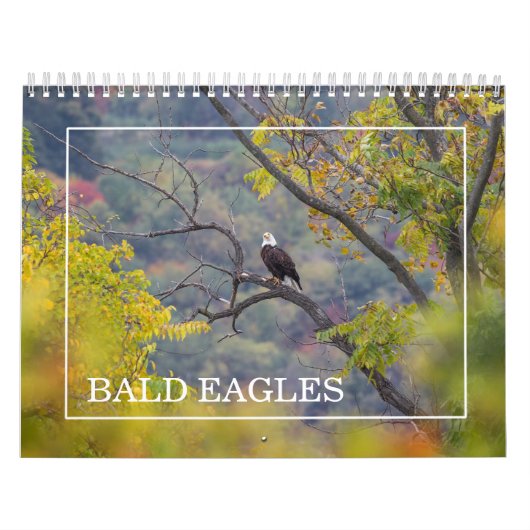 Kale adelaars kalender (Hoes)