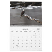 Kale adelaars kalender (Jan 2027)