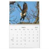 Kale adelaars kalender (Mar 2027)