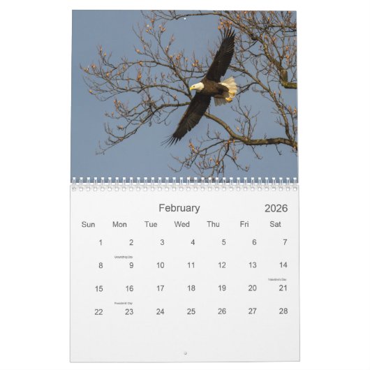 Kale adelaars kalender (Feb 2026)