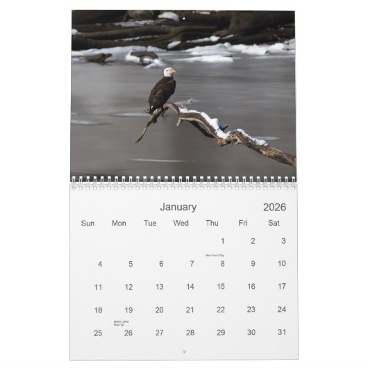 Kale adelaars kalender (Jan 2026)