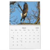 Kale adelaars kalender (Mar 2026)