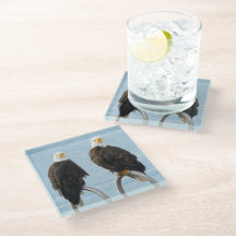 Kale adelaars met houding Grappig Wildlife