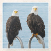 Kale adelaars met houding Grappig Wildlife Glazen Onderzetter (Voorkant)